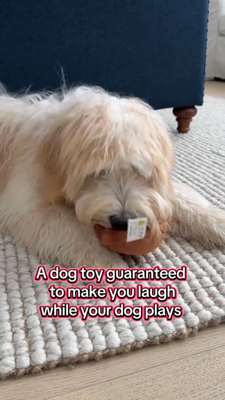 Lowest price everFunny Talking Poop Plush Toy – Makes Fart Sounds!