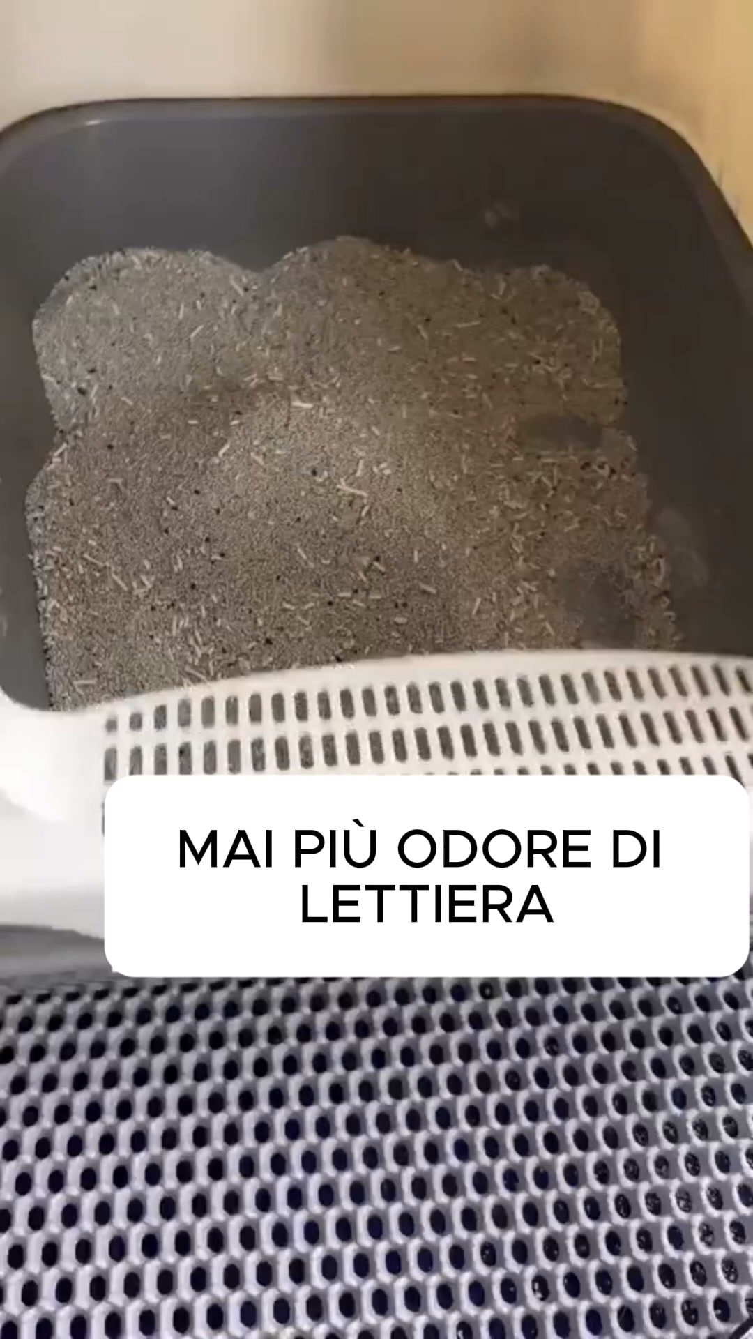 Mai più odore di lettiera
