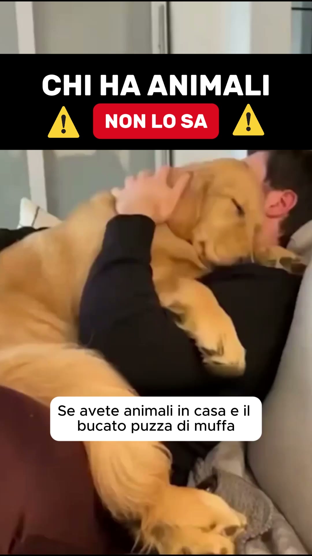 Se il bucato ha ancora un odore sgradevole dopo aver pulito la lavatrice... ecco la spiegazione