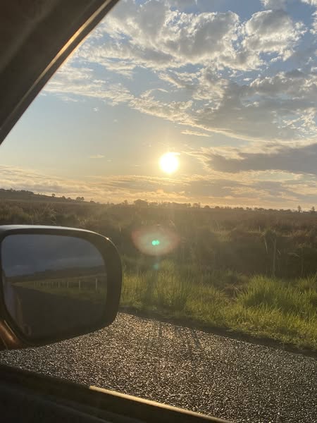 Não foi o mar. Nem o sol. E uma dor de 6 anos desapareceu numa semana no Algarve.