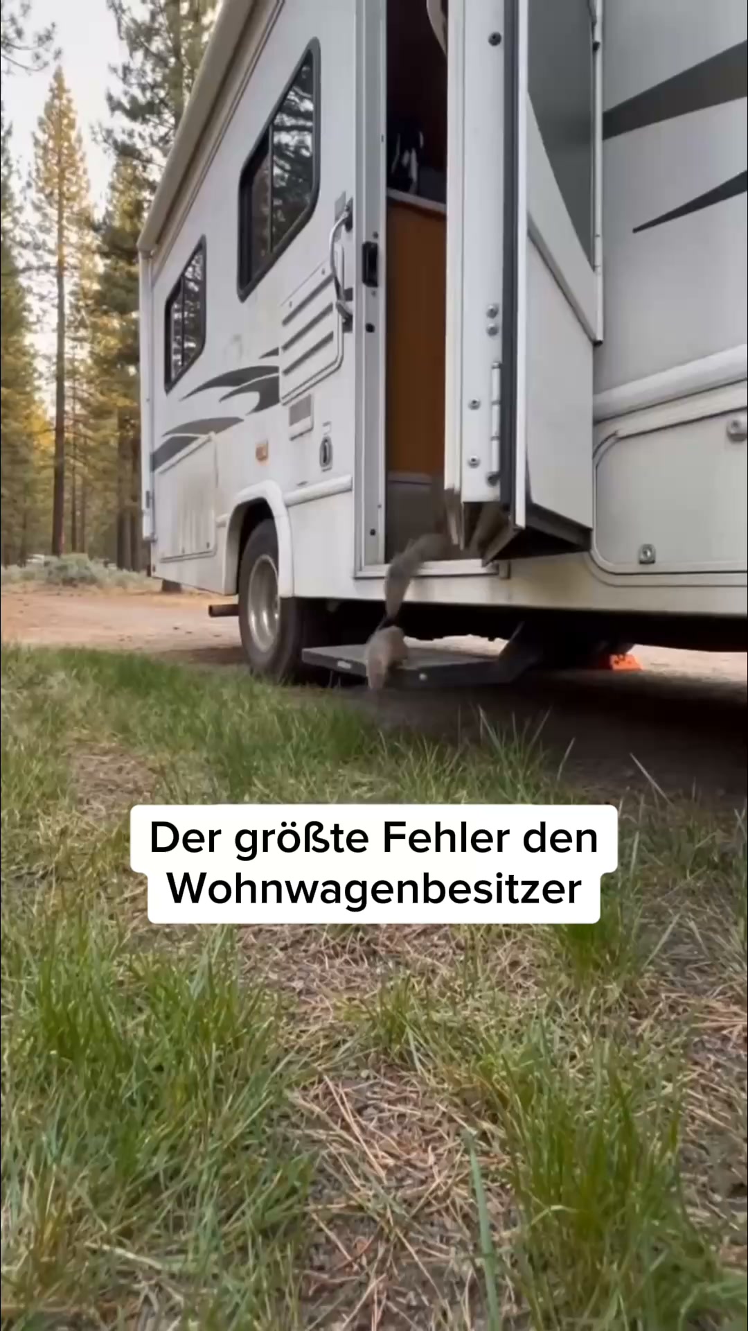 Über 16.000 glückliche Kunden