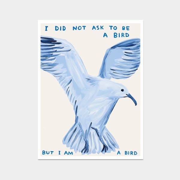 I Did Not Ask To Be a Bird