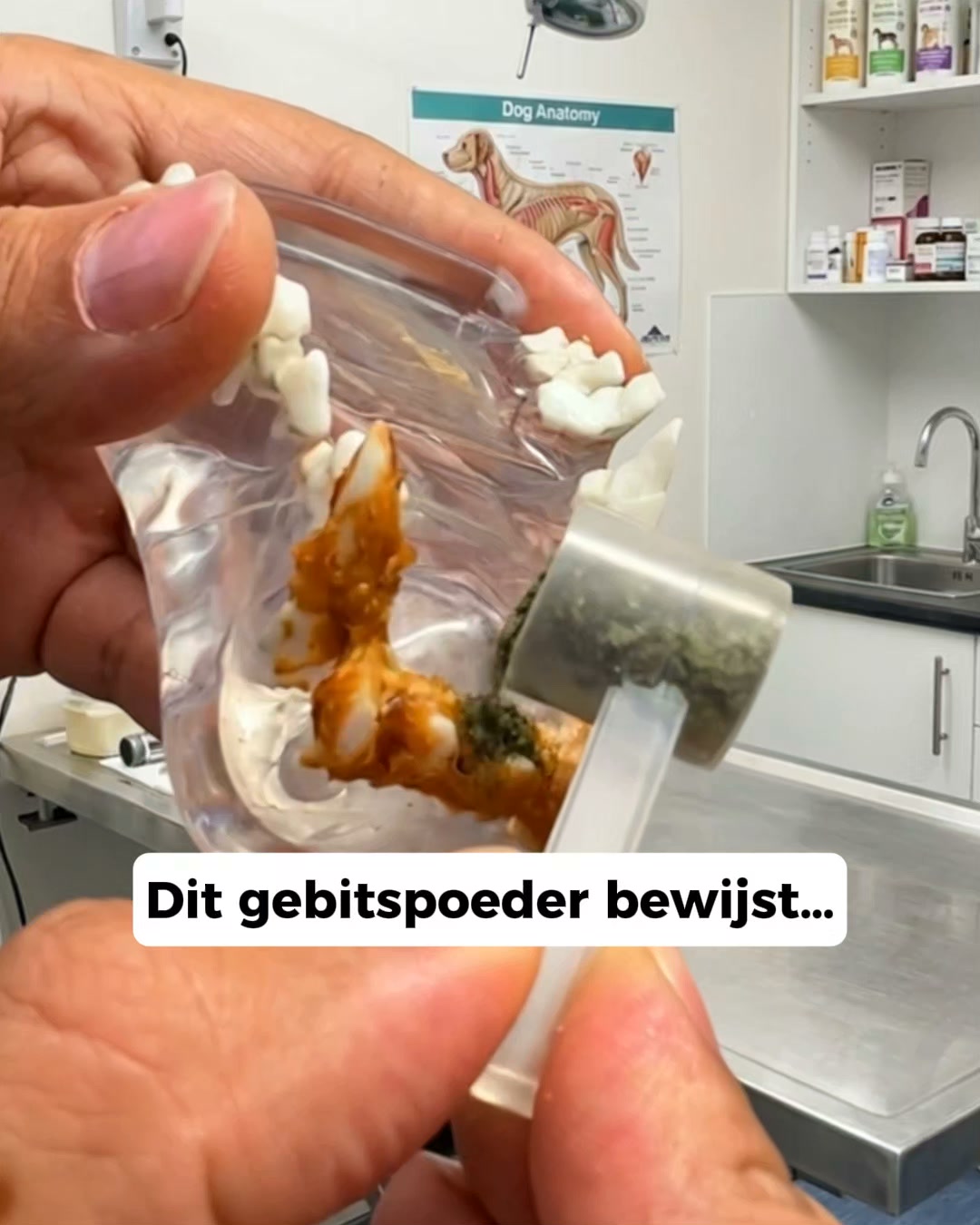 Geen tandenborstel. Geen gedoe. Gewoon één schepje.
