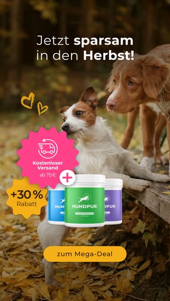 Jetzt 30% sparen