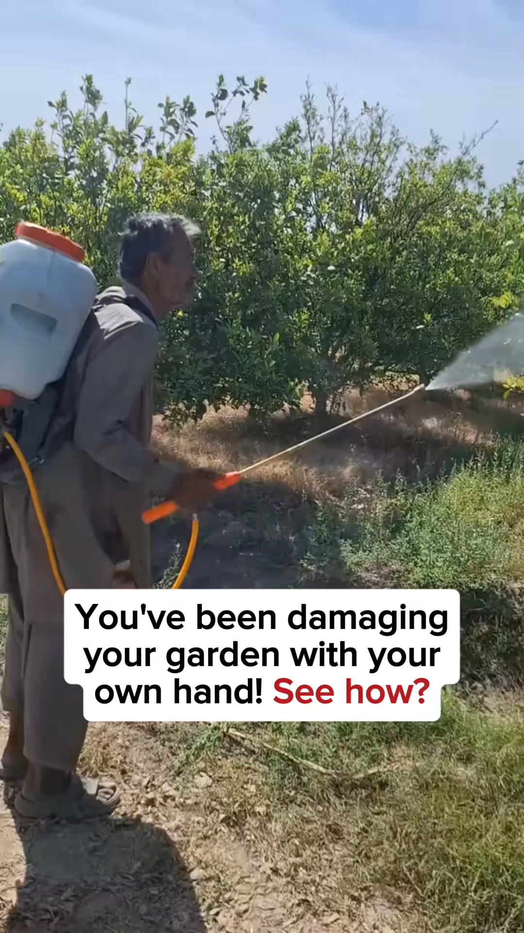 They Ate Months Of Work