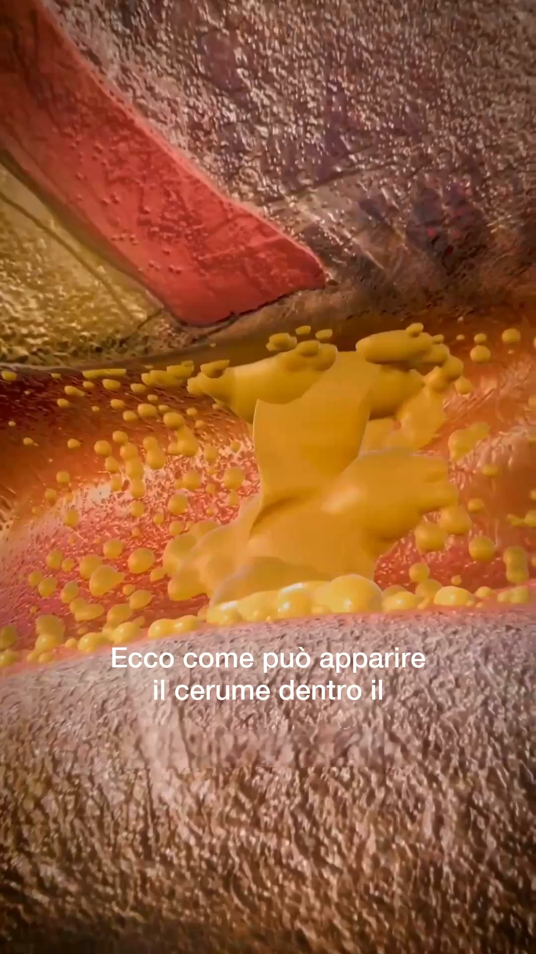 40% DI SCONTO + Spedizione gratuita