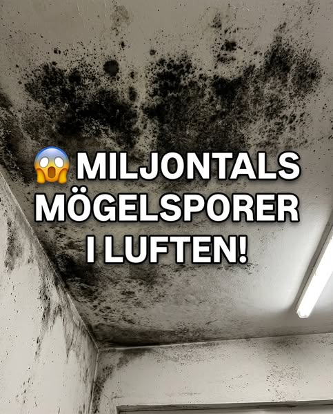 DU ANDAS IN MÖGLETS SPORER NÄR DU SOVER