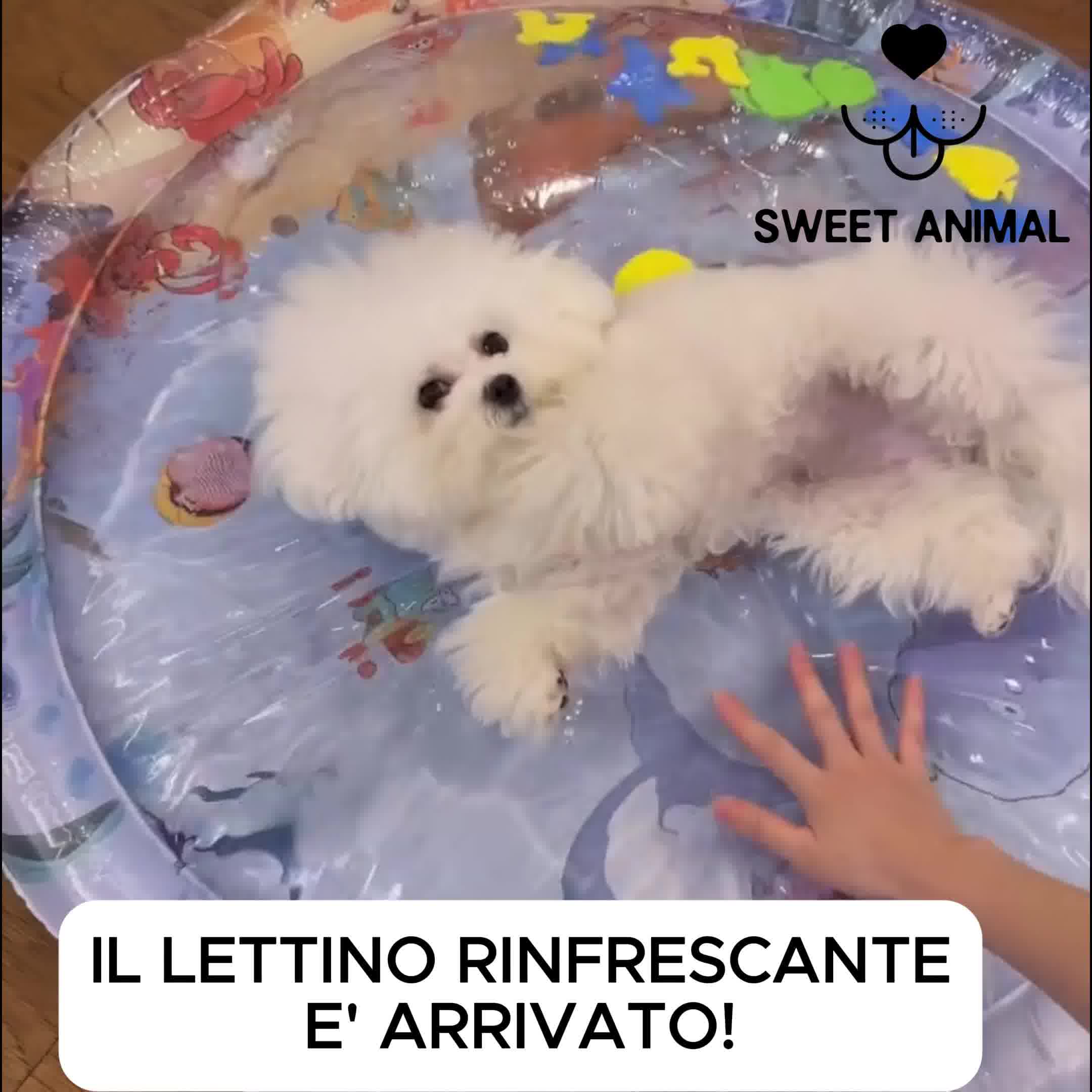 Oasi rinfrescante!