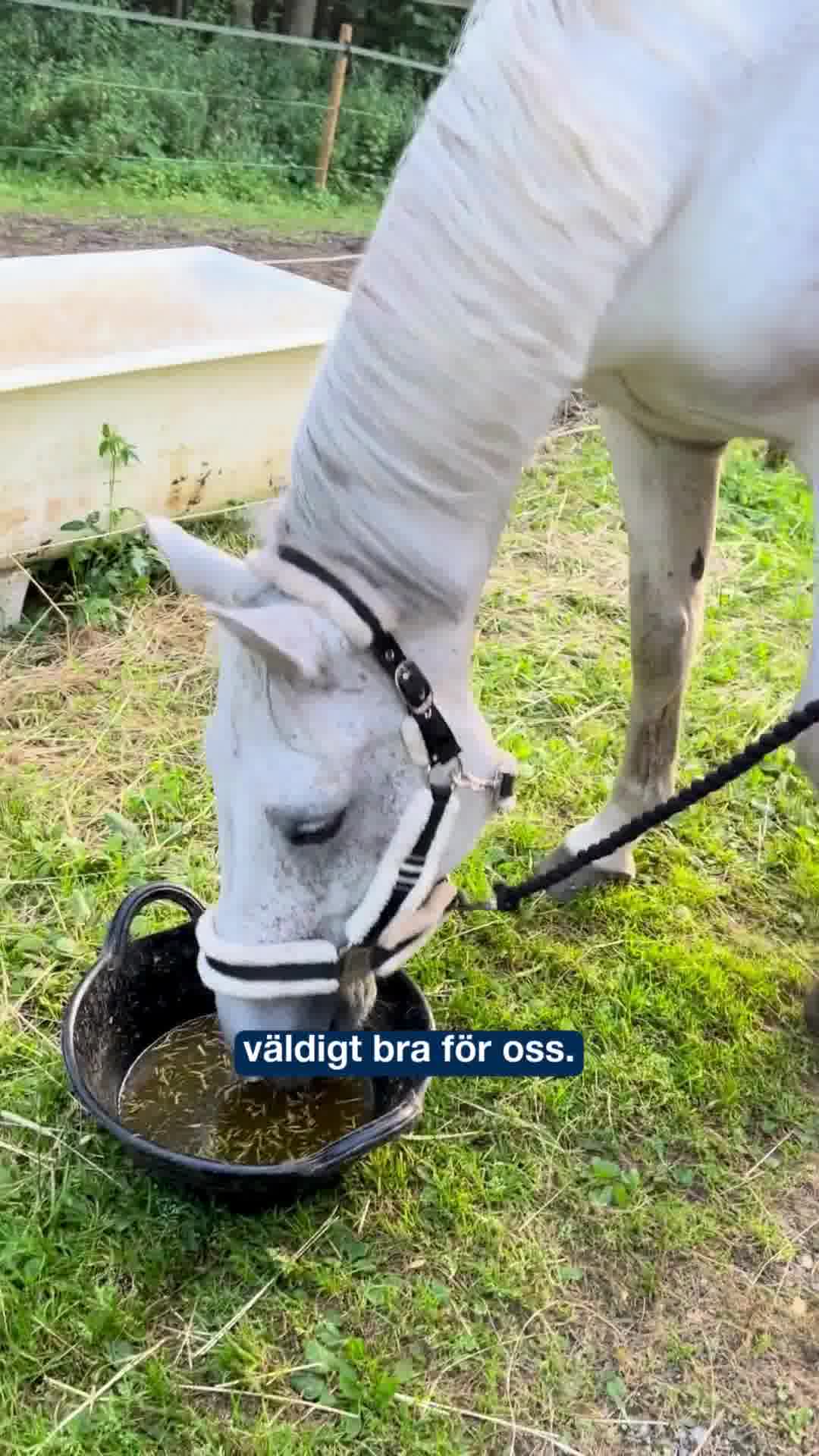 Lyssna på Elins erfarenhet av Arthri Aid