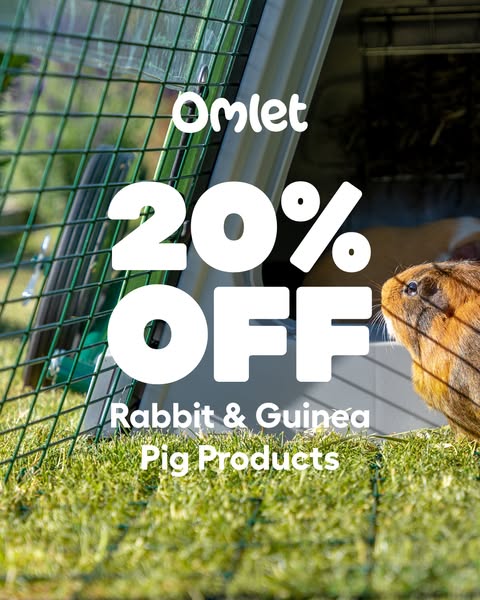 Fall savings for small pets