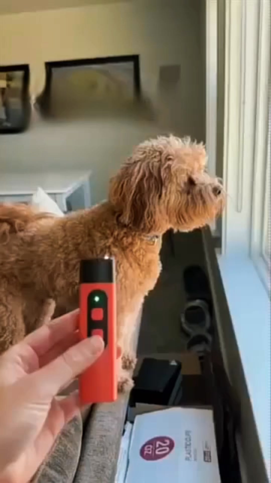 [BEST SELLER] Dog Bark Control Device