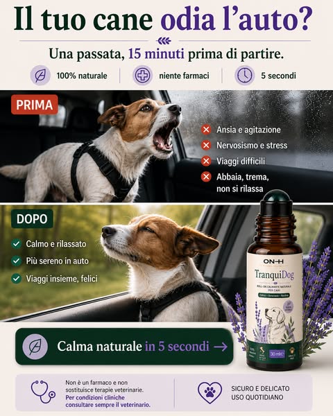 Il tuo cane odia l'auto?
