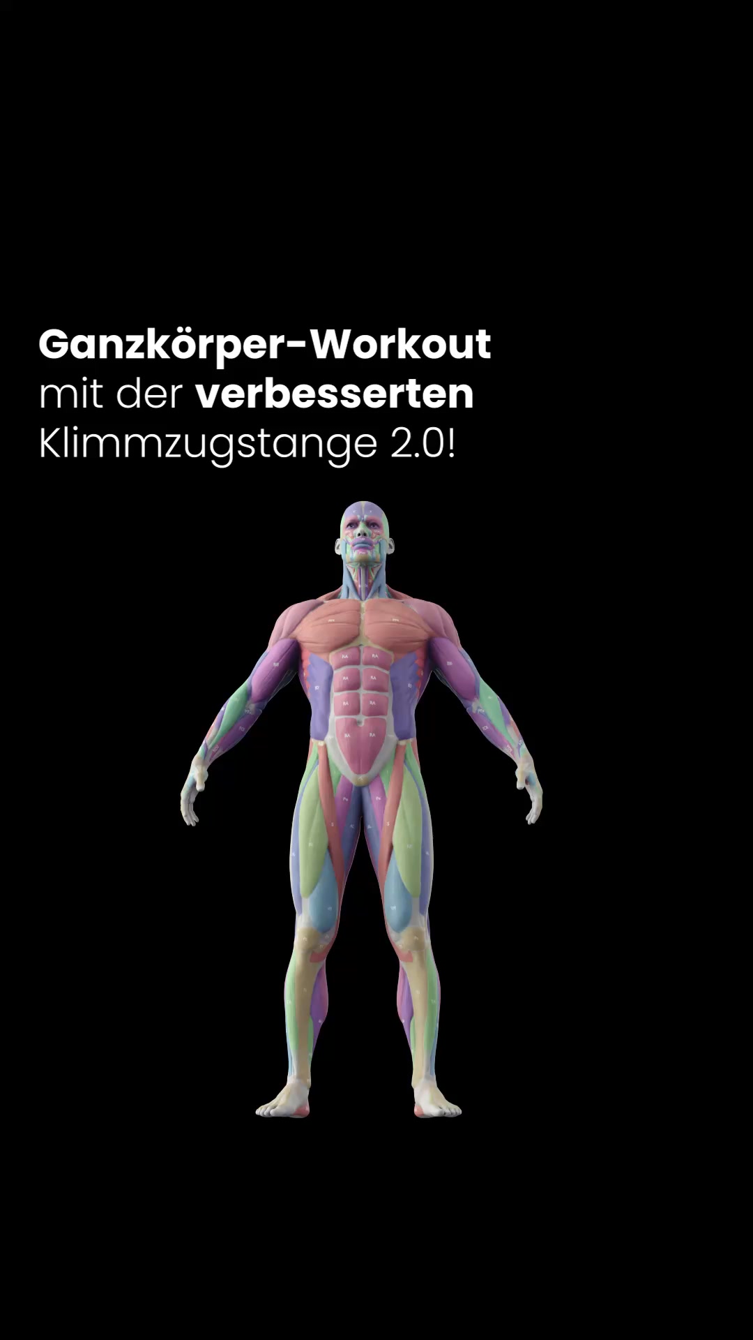 Die verbesserte Klimmzugstange