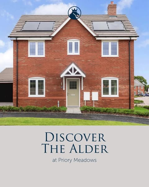 Discover The Alder