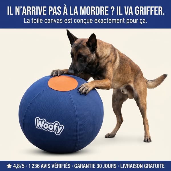 Conçue pour résister aux griffes des chiens de travail