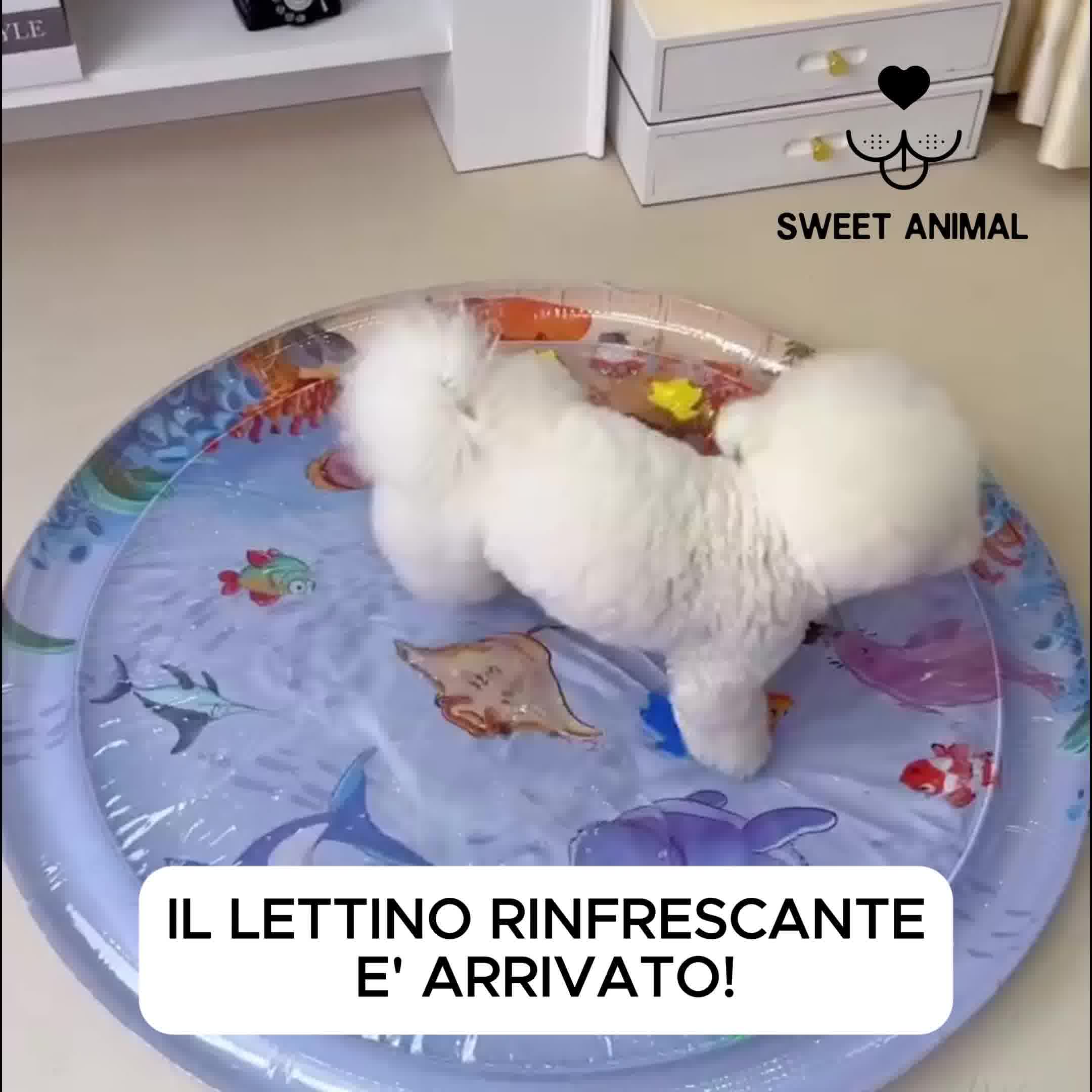 Oasi rinfrescante!