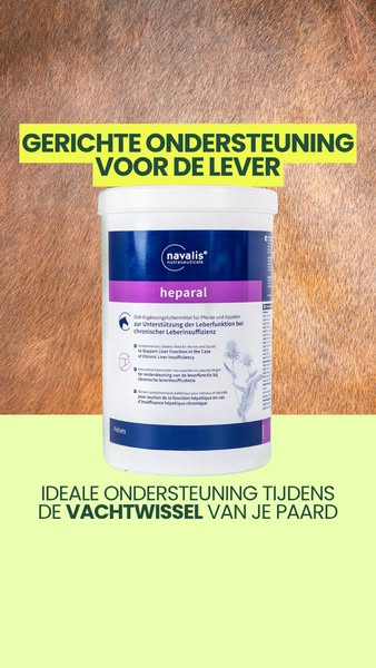 Ondersteun lever van je