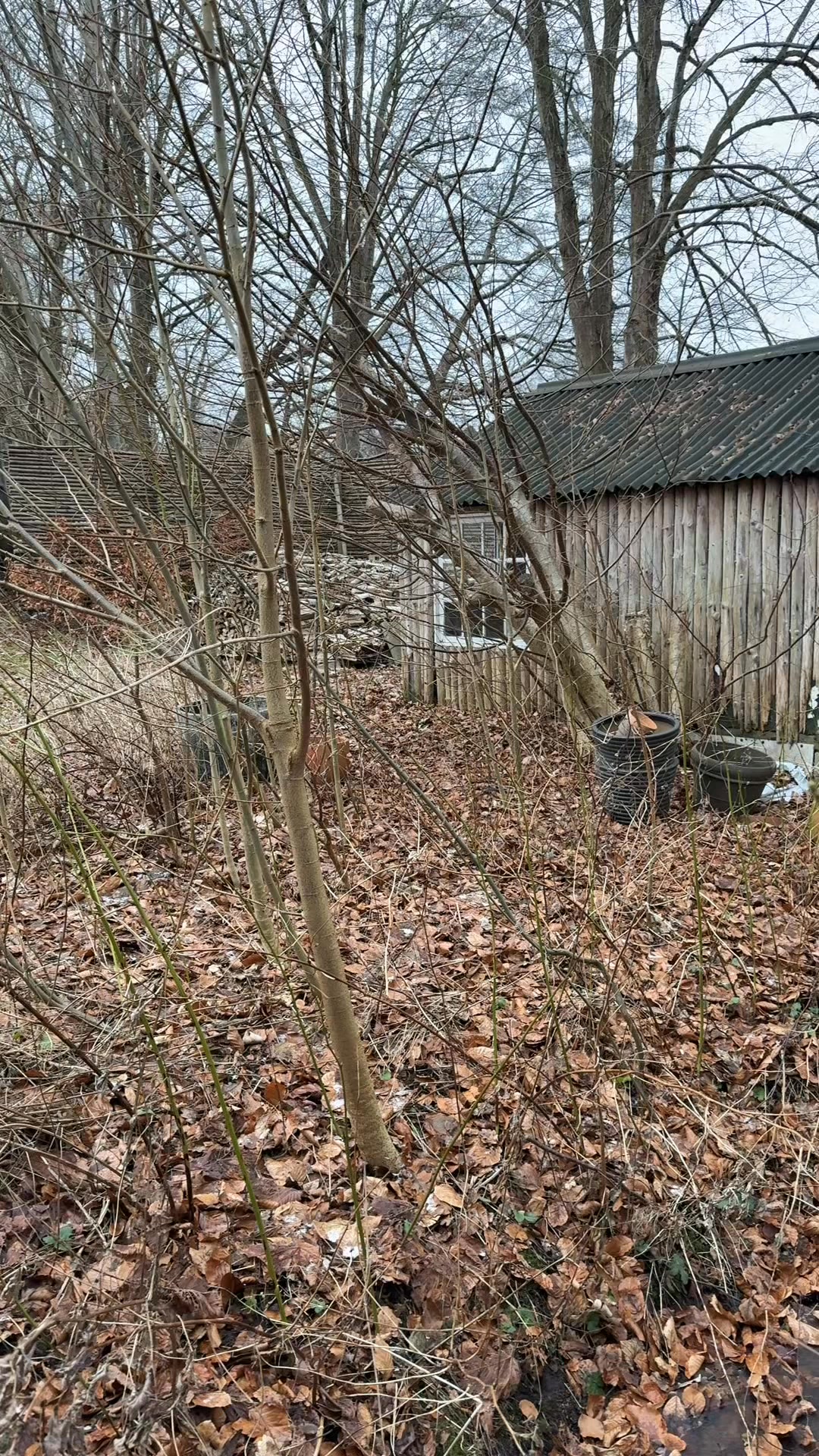 Denne ting erstatter 750 vandflasker