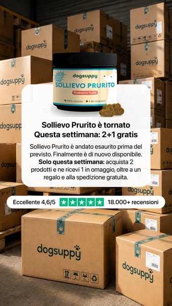 Questa offerta finisce presto