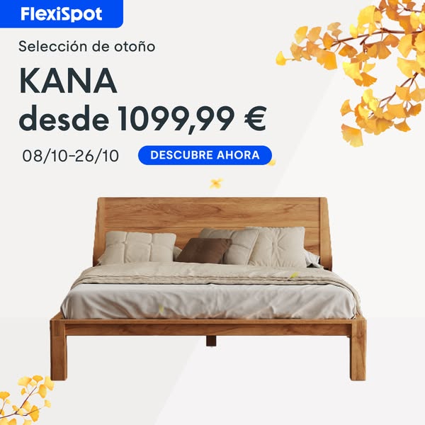 Descubre la colección