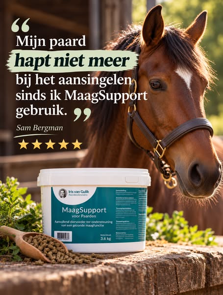 Ondersteun van binnenuit