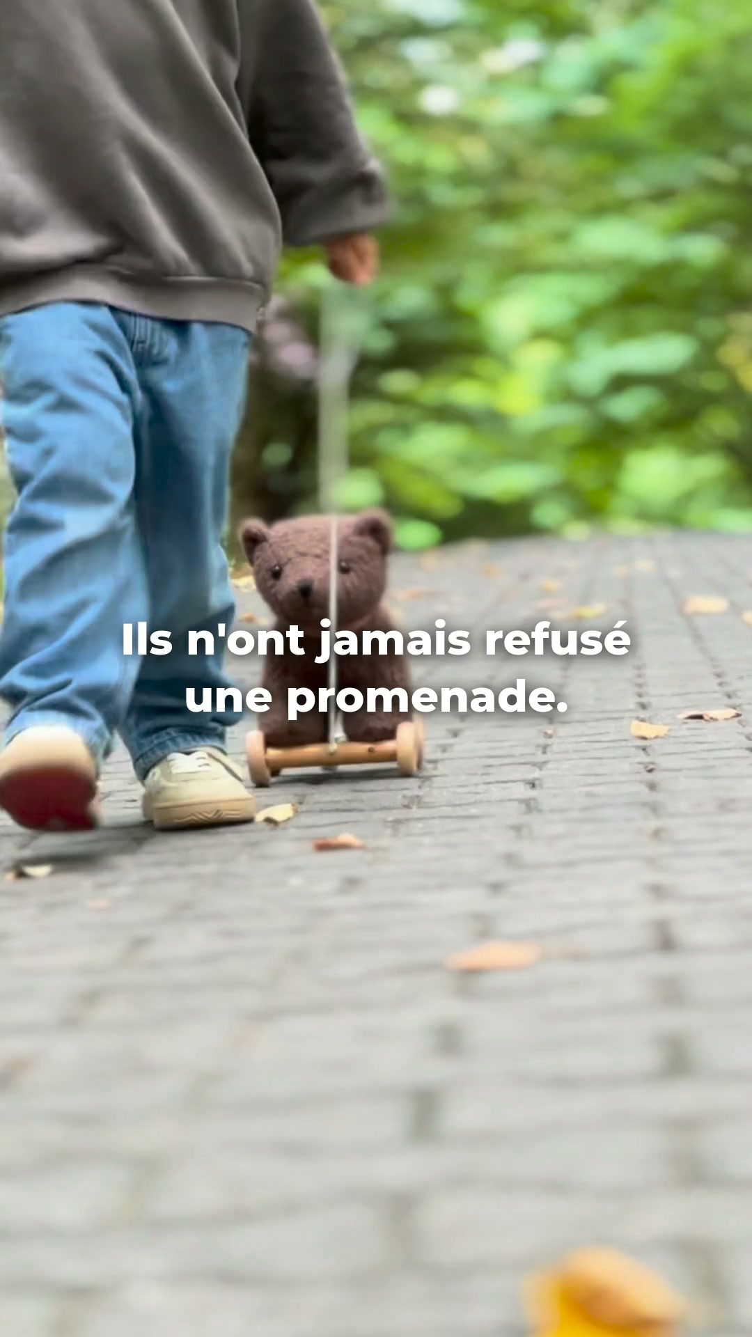 5 animaux à tirer, 39,95 €