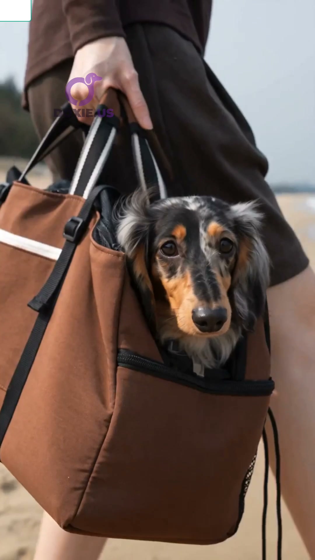 Anúncio de Doxie.us