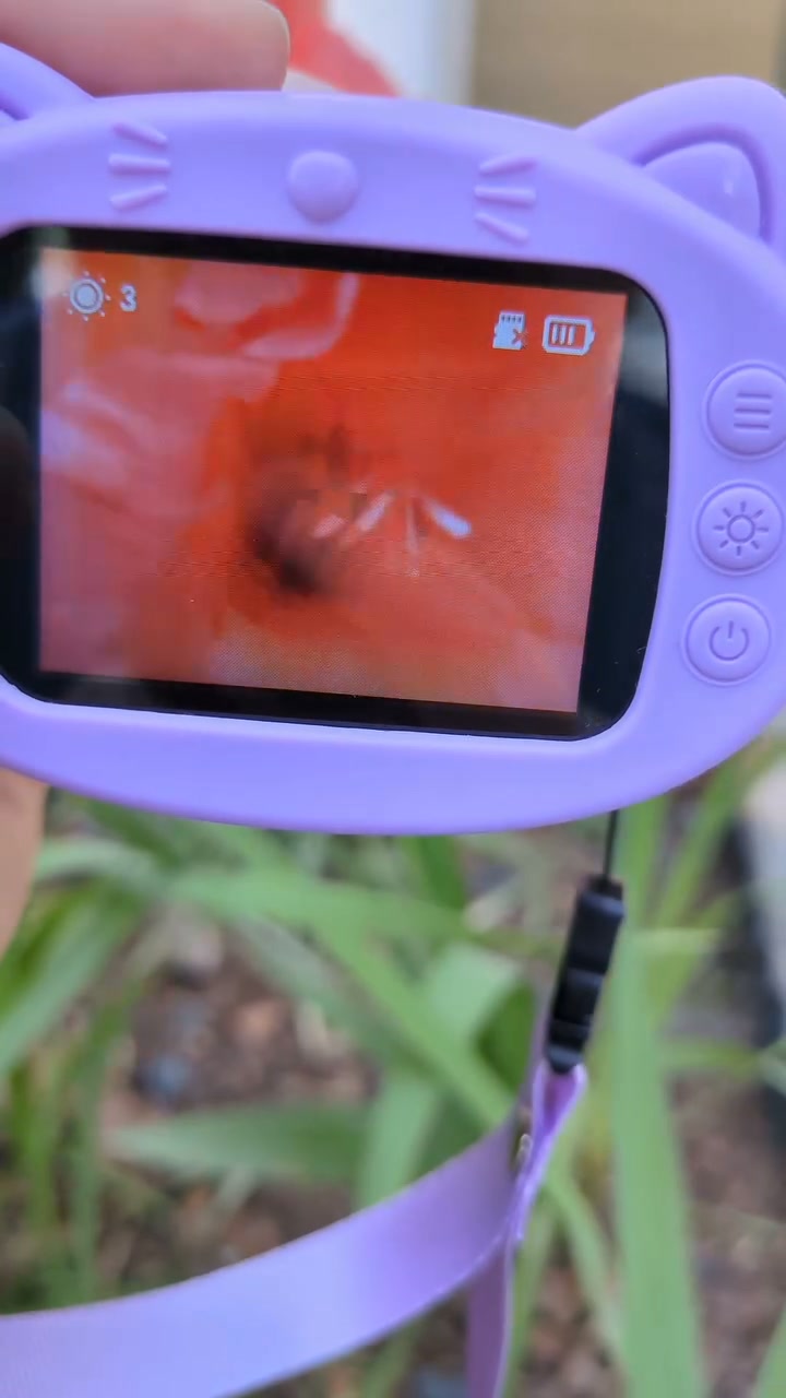 Kideo Microscope