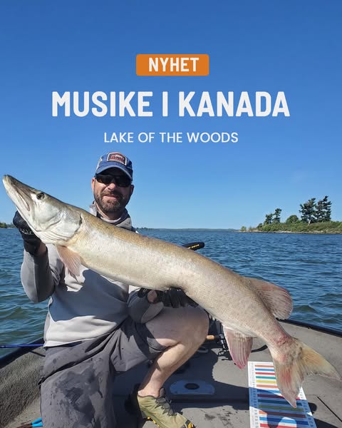 Musky i Kanada med fiskeguide
