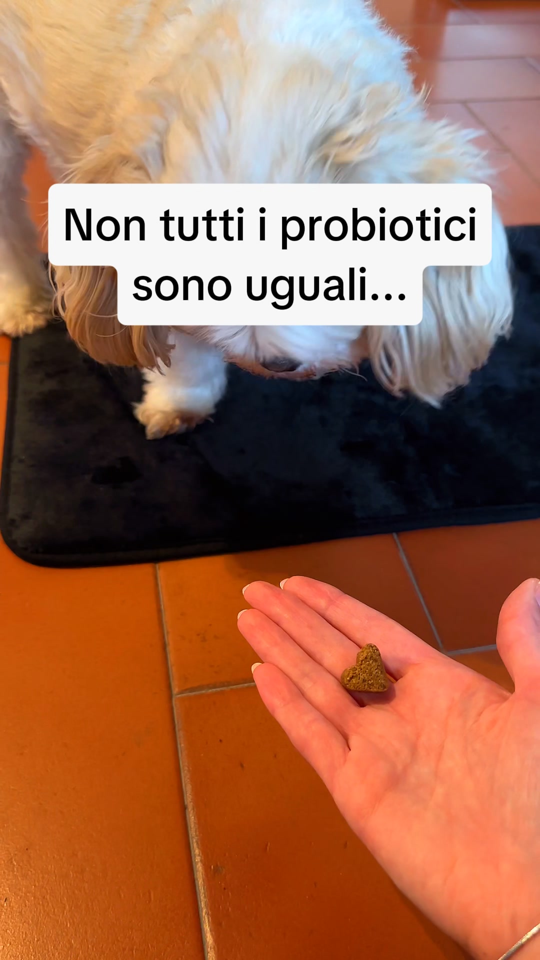 Elimina il Prurito del tuo Cane alla Fonte