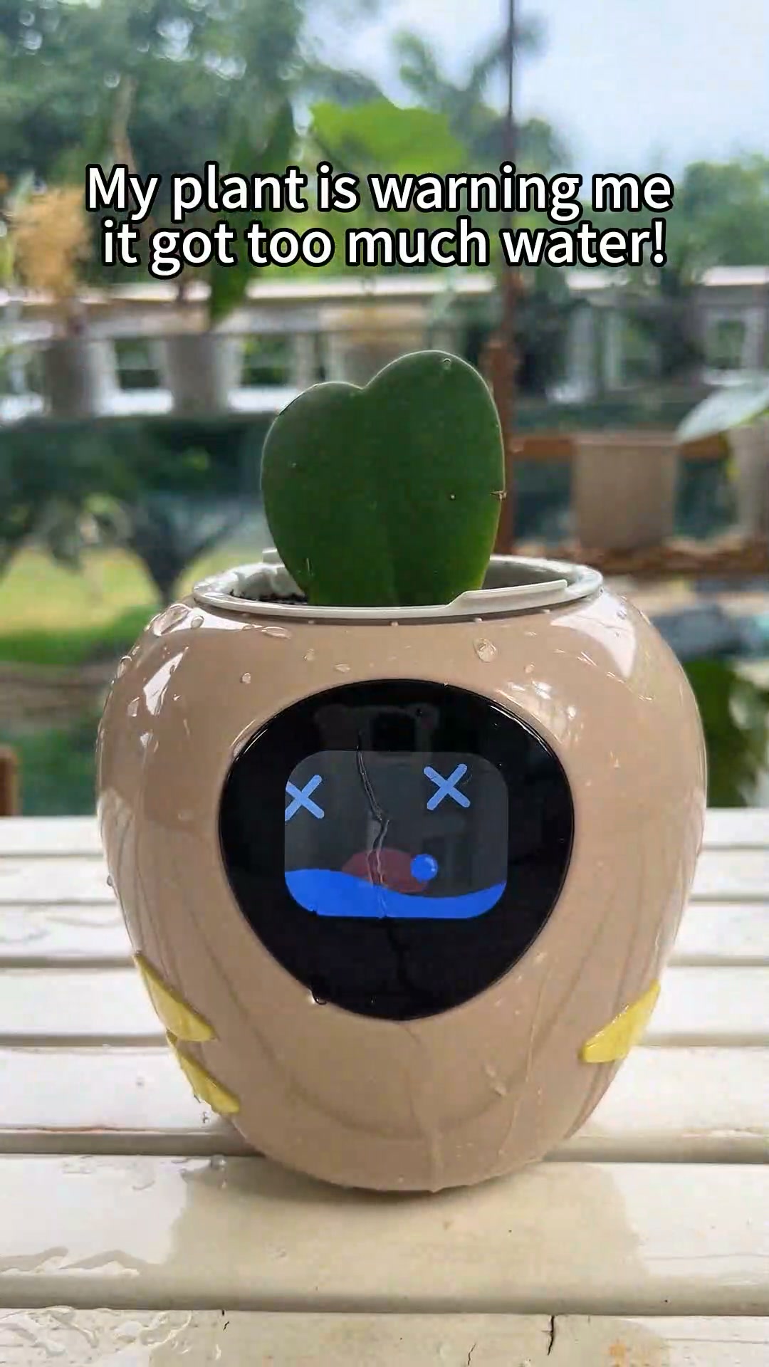 PlantBot, Smart Planter, Allow Your Plants Talk to You!
