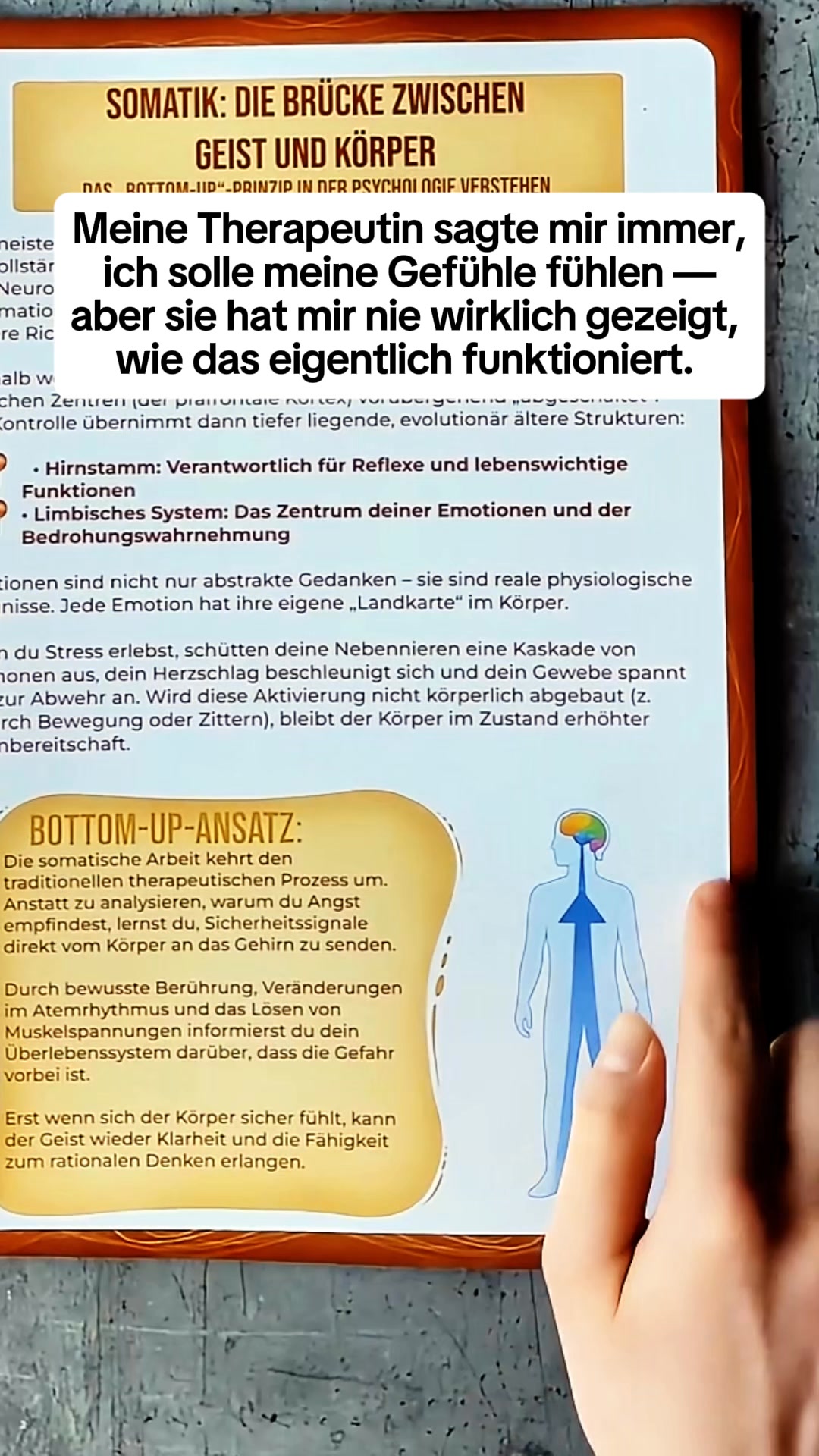 Arbeitsbuch für Somatische Therapie