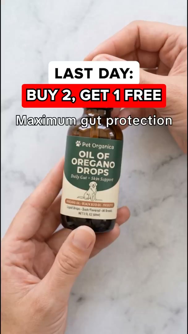 Vet-recommended Itch Relief