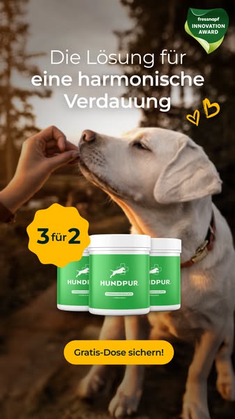 3 für 2 - nur für kurze Zeit