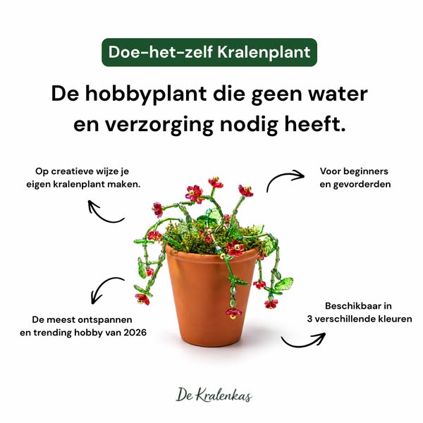 Maak je eigen kralenplant