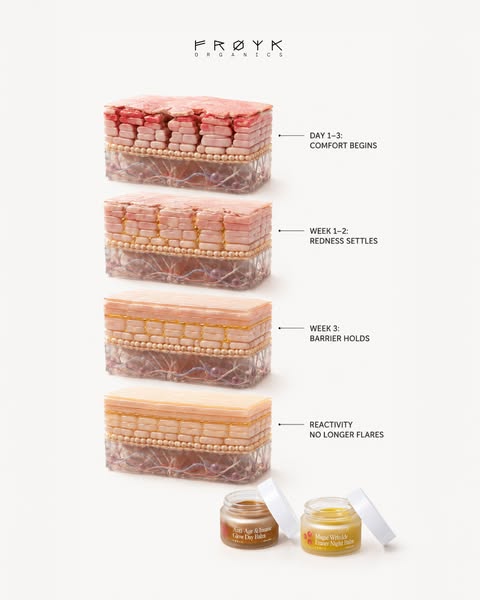 Your skin's barrier needs to be fed