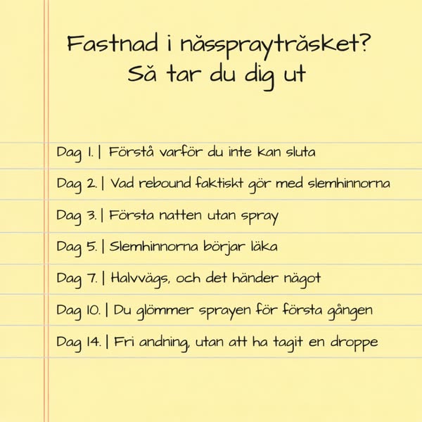 Betala senare med Klarna