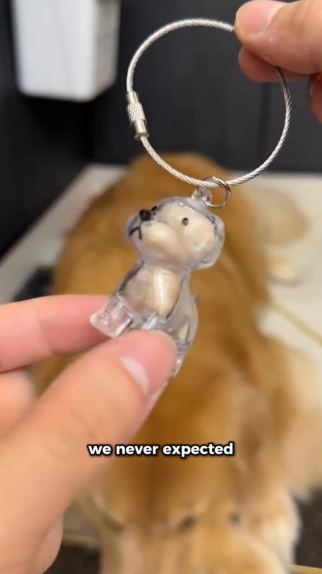 #1 Pet Memory