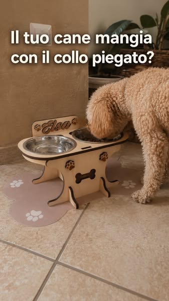 Il tuo cane mangia con il collo piegato?