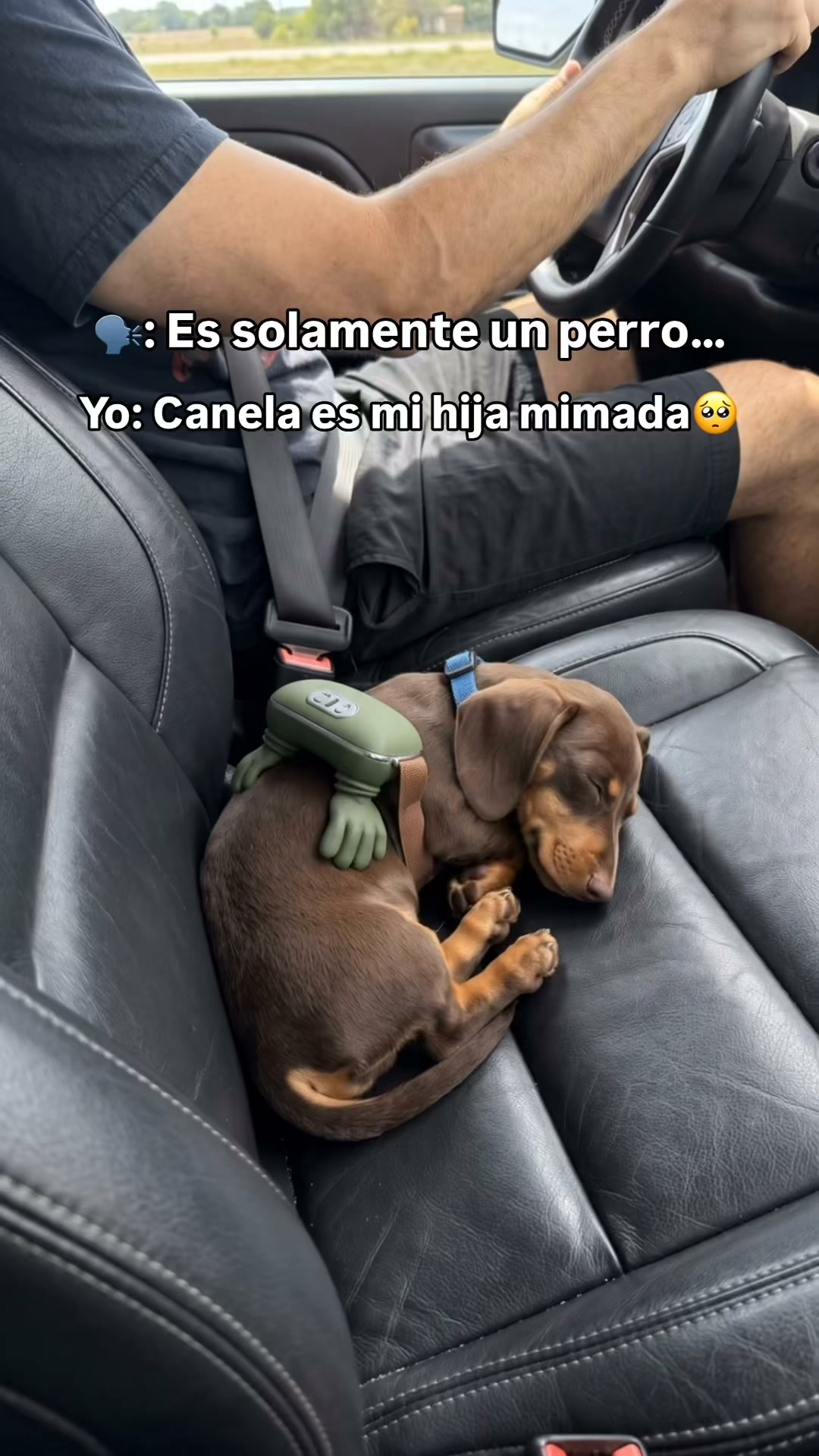 El después del paseo perfecto