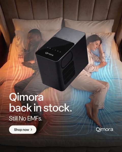 Qimora Is Back