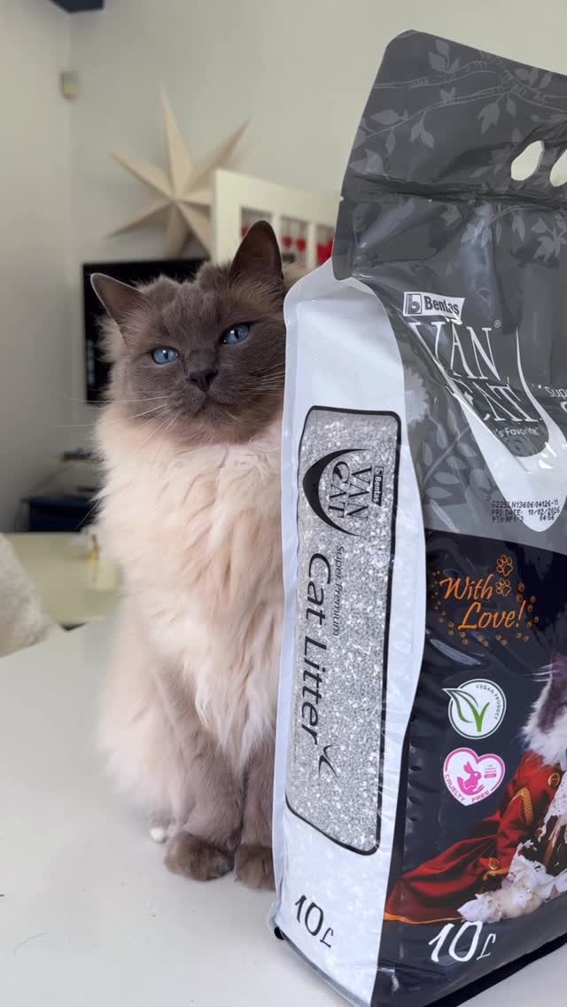 Anúncio de a_ginger_cat_named_rascal