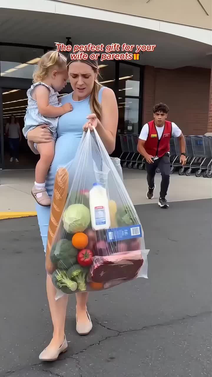 Folding Shopping Cart Bag