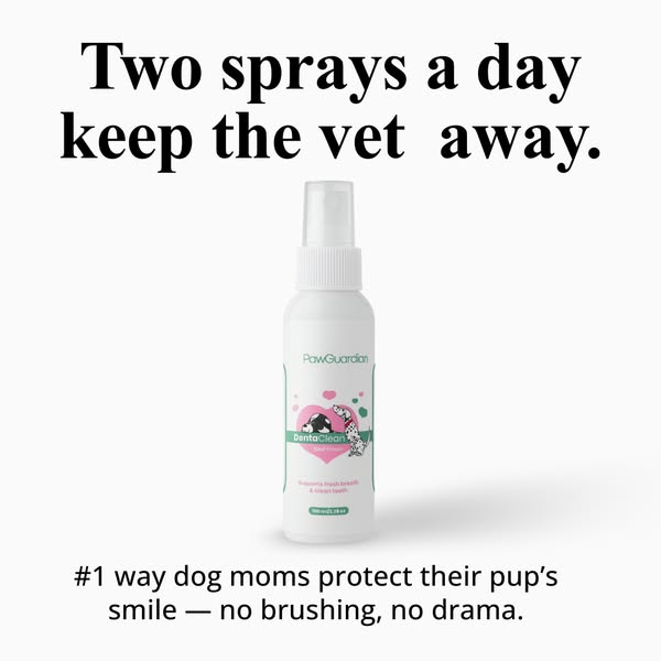 Dog breath? Gone. Brushing? Never.