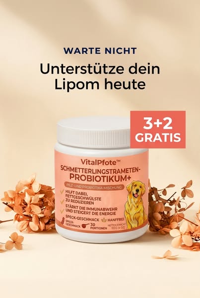 Eine Garantie gibt es hier schon