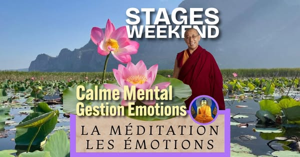 Méditation & Emotions