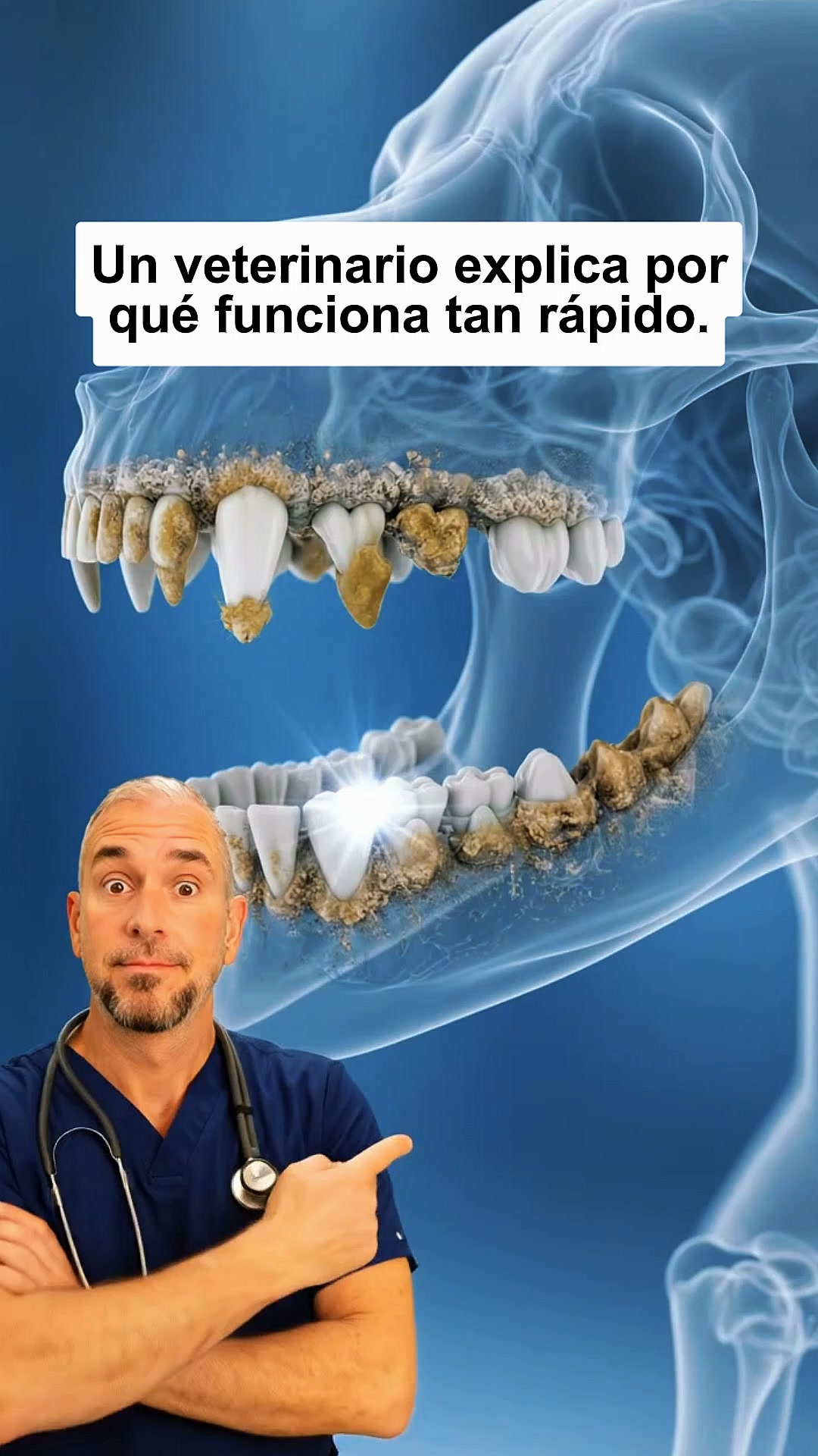 ENVÍOS GRATIS + PAGAS AL RECIBIR