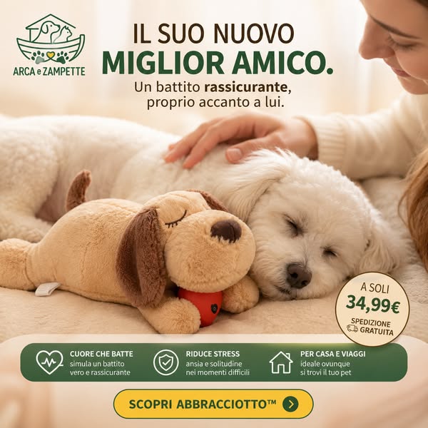 Spedizione Gratuita