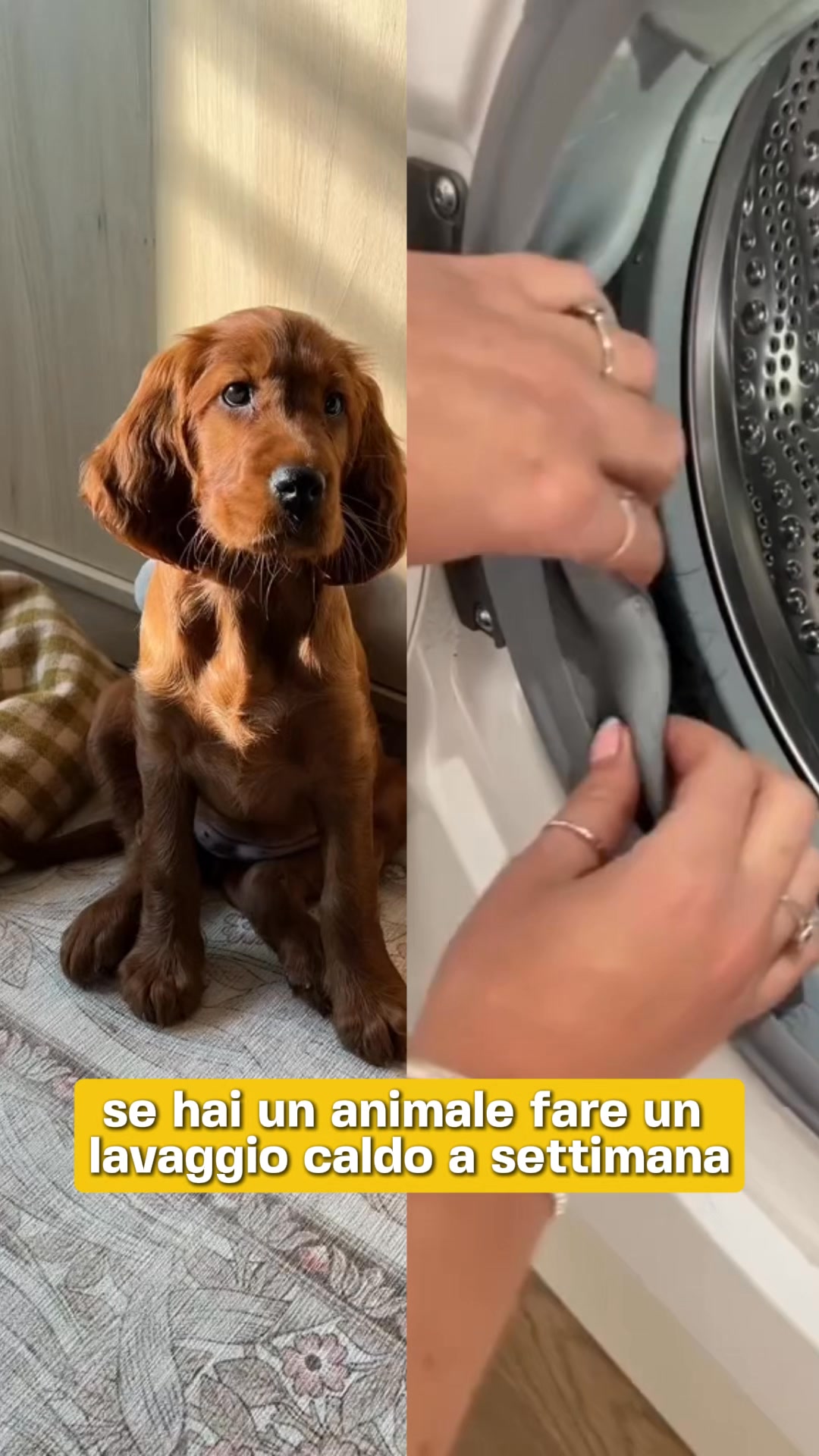 Se il bucato ha ancora un odore sgradevole dopo aver pulito la lavatrice... ecco la spiegazione