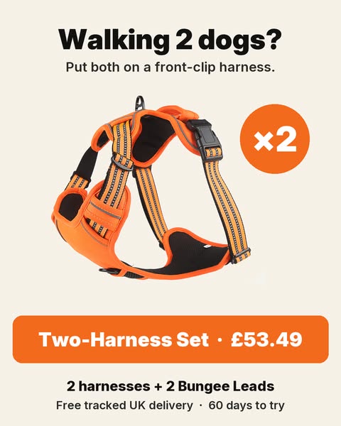 Two-Harness Set · £53.49